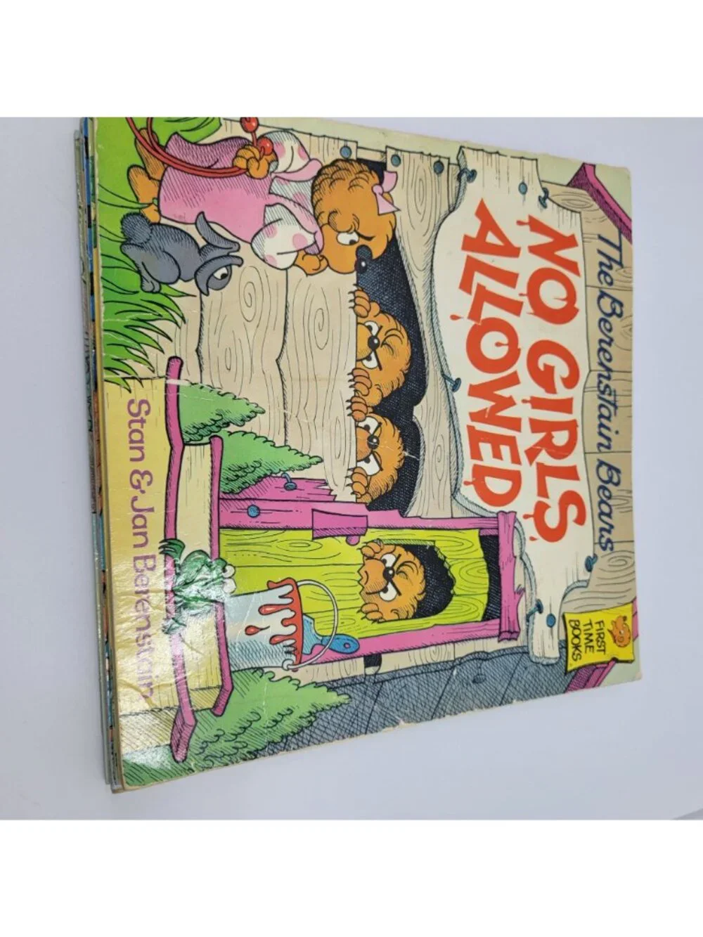 Berenstain Bears Huge Lot of 12 Children's Books - BB003